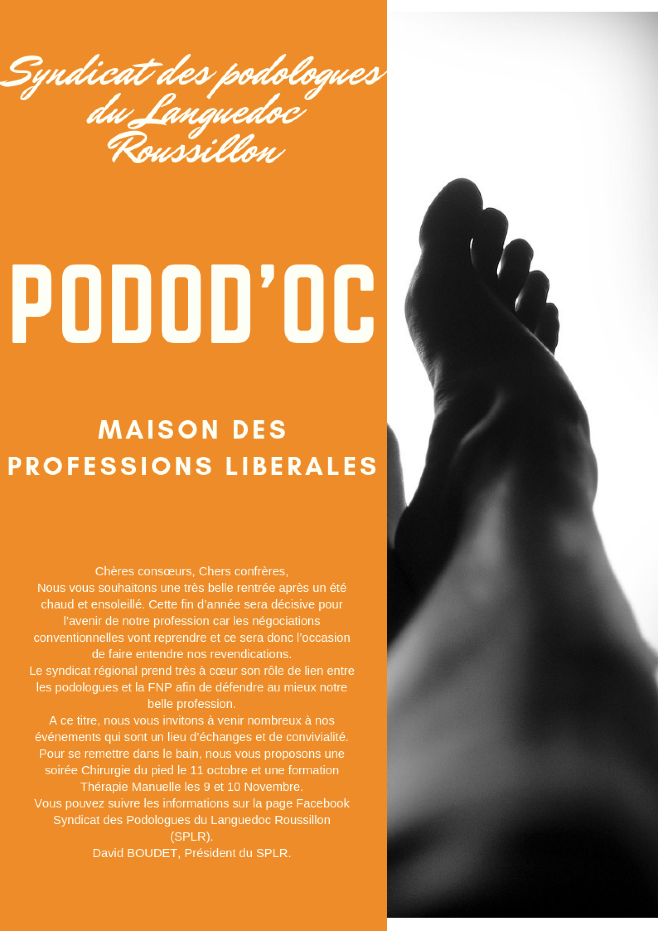 syndicat-des-podologues-du-languedoc-roussillon.png -